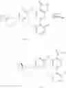 Fig. 166 - TYK2 inhibitors and uses thereof