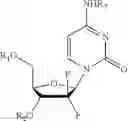 Fig. 09 - Silylated pyrimidine prodrugs and methods of their use