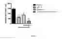 Fig. 02 - PHARMACEUTICAL COMPOSITION, METHODS FOR TREATING AND USES THEREOF