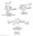 Fig. 03 - 14-membered ketolides and methods of their preparation and use