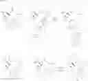 Fig. 121 - 14-membered ketolides and methods of their preparation and use