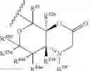 Fig. 168 - 14-membered ketolides and methods of their preparation and use