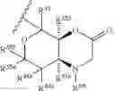 Fig. 172 - 14-membered ketolides and methods of their preparation and use