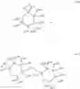 Fig. 198 - 14-membered ketolides and methods of their preparation and use