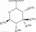 Fig. 199 - 14-membered ketolides and methods of their preparation and use