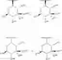 Fig. 200 - 14-membered ketolides and methods of their preparation and use