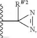 Fig. 212 - 14-membered ketolides and methods of their preparation and use