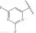 Fig. 297 - 14-membered ketolides and methods of their preparation and use
