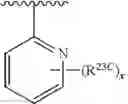 Fig. 298 - 14-membered ketolides and methods of their preparation and use