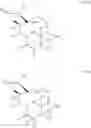 Fig. 303 - 14-membered ketolides and methods of their preparation and use