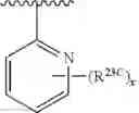 Fig. 314 - 14-membered ketolides and methods of their preparation and use