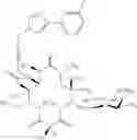 Fig. 372 - 14-membered ketolides and methods of their preparation and use