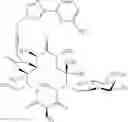 Fig. 373 - 14-membered ketolides and methods of their preparation and use