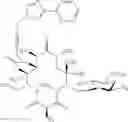 Fig. 375 - 14-membered ketolides and methods of their preparation and use