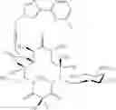 Fig. 380 - 14-membered ketolides and methods of their preparation and use