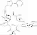 Fig. 382 - 14-membered ketolides and methods of their preparation and use