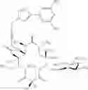 Fig. 383 - 14-membered ketolides and methods of their preparation and use