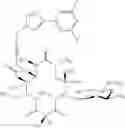 Fig. 389 - 14-membered ketolides and methods of their preparation and use