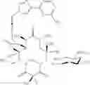 Fig. 390 - 14-membered ketolides and methods of their preparation and use