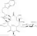 Fig. 394 - 14-membered ketolides and methods of their preparation and use