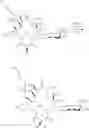 Fig. 424 - 14-membered ketolides and methods of their preparation and use