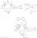 Fig. 444 - 14-membered ketolides and methods of their preparation and use