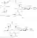 Fig. 445 - 14-membered ketolides and methods of their preparation and use