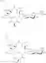 Fig. 451 - 14-membered ketolides and methods of their preparation and use