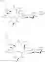 Fig. 452 - 14-membered ketolides and methods of their preparation and use