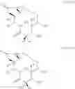 Fig. 474 - 14-membered ketolides and methods of their preparation and use