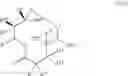 Fig. 487 - 14-membered ketolides and methods of their preparation and use