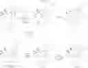 Fig. 59 - 14-membered ketolides and methods of their preparation and use