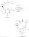 Fig. 75 - 14-membered ketolides and methods of their preparation and use