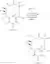 Fig. 77 - 14-membered ketolides and methods of their preparation and use