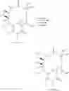 Fig. 79 - 14-membered ketolides and methods of their preparation and use