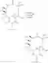 Fig. 81 - 14-membered ketolides and methods of their preparation and use