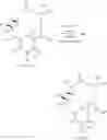 Fig. 99 - 14-membered ketolides and methods of their preparation and use
