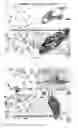 Fig. 06 - Antileishmanial compositions and methods of use