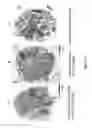 Fig. 08 - Antileishmanial compositions and methods of use