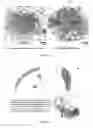 Fig. 09 - Antileishmanial compositions and methods of use