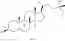 Fig. 94 - NEUROACTIVE STEROIDS AND METHODS OF USE THEREOF