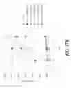 Fig. 49 - Fusion proteins comprising P3 of bacteriophage