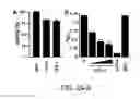 Fig. 03 - COMPOSITIONS AND METHODS RELATED TO ANTIBODIES THAT NEUTRALIZE COAGULASE ACTIVITY DURING STAPHYLOCOCCUS AUREUS DISEASE