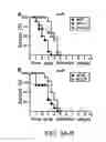 Fig. 04 - COMPOSITIONS AND METHODS RELATED TO ANTIBODIES THAT NEUTRALIZE COAGULASE ACTIVITY DURING STAPHYLOCOCCUS AUREUS DISEASE