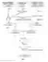 Fig. 02 - Nucleic acids encoding complement component C5 antibodies