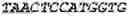 Fig. 08 - Binding molecules, especially antibodies, binding to L1CAM (CD171)