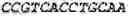 Fig. 22 - Binding molecules, especially antibodies, binding to L1CAM (CD171)