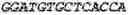 Fig. 33 - Binding molecules, especially antibodies, binding to L1CAM (CD171)