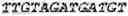 Fig. 40 - Binding molecules, especially antibodies, binding to L1CAM (CD171)
