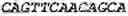 Fig. 44 - Binding molecules, especially antibodies, binding to L1CAM (CD171)